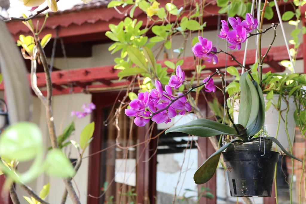 Nhi Trung Hotel Hoi An Dış mekan fotoğraf